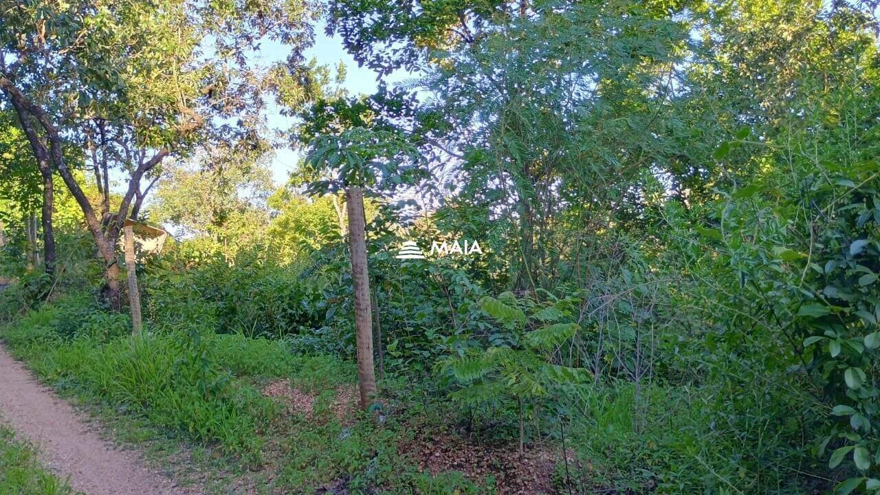 Rancho/ Chácara/ Rural à venda no Santa Rosa: 