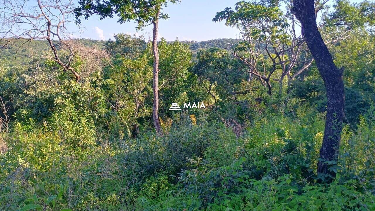 Rancho/ Chácara/ Rural à venda no Santa Rosa: 