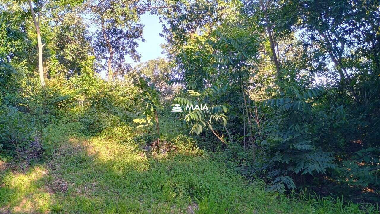 Rancho/ Chácara/ Rural à venda no Santa Rosa: 