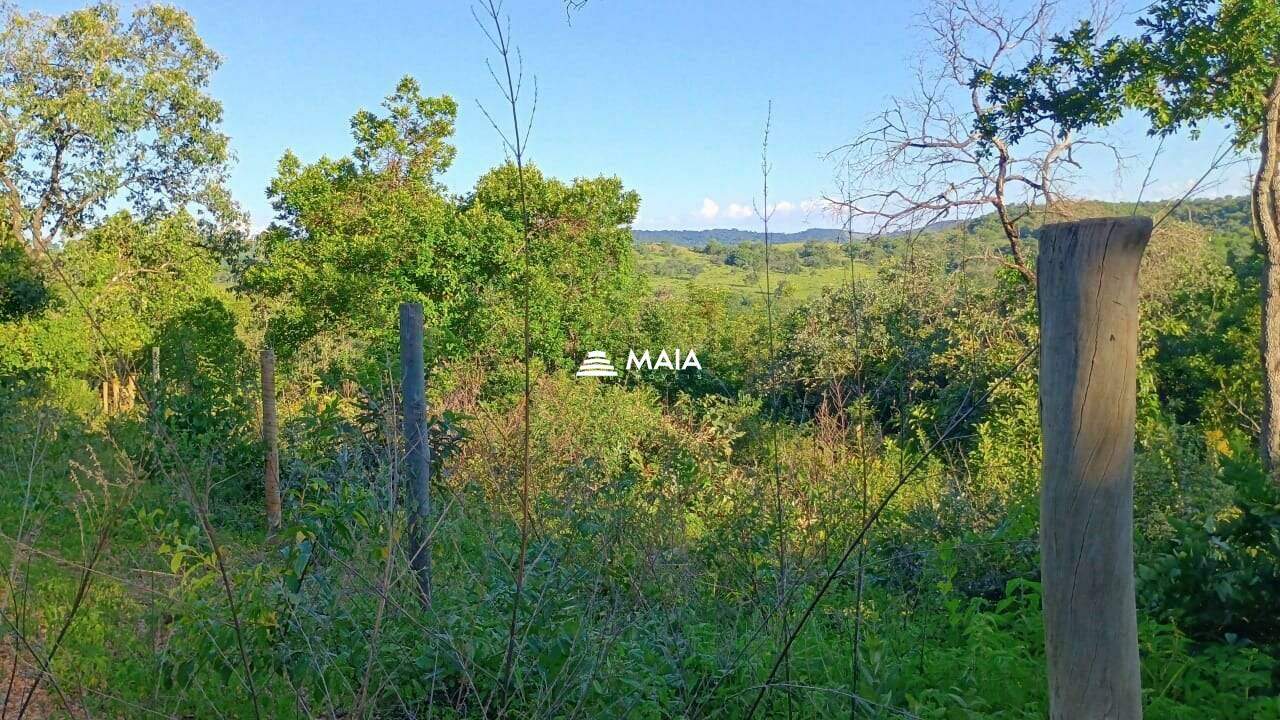 Rancho/ Chácara/ Rural à venda no Santa Rosa: 