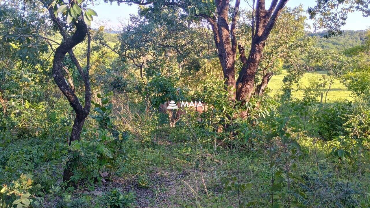 Rancho/ Chácara/ Rural à venda no Santa Rosa: 