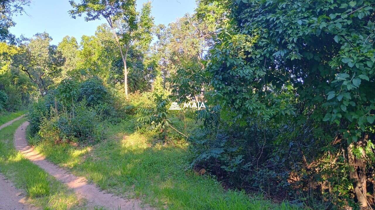 Rancho/ Chácara/ Rural à venda no Santa Rosa: 