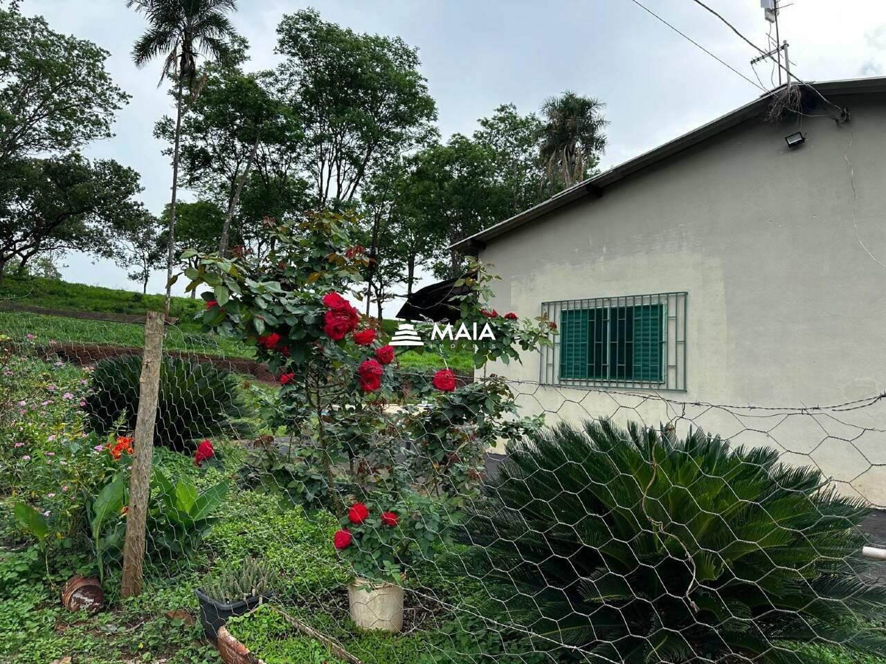 Rancho/ Chácara/ Rural à venda no Amoroso Costa: 