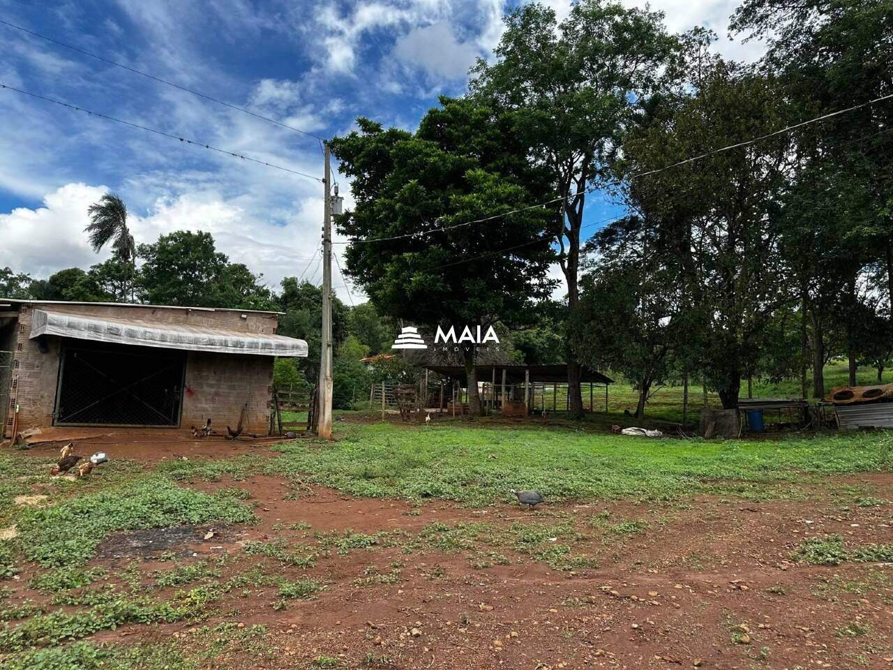 Rancho/ Chácara/ Rural à venda no Amoroso Costa: 