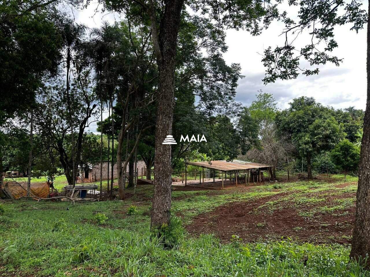 Rancho/ Chácara/ Rural à venda no Amoroso Costa: 