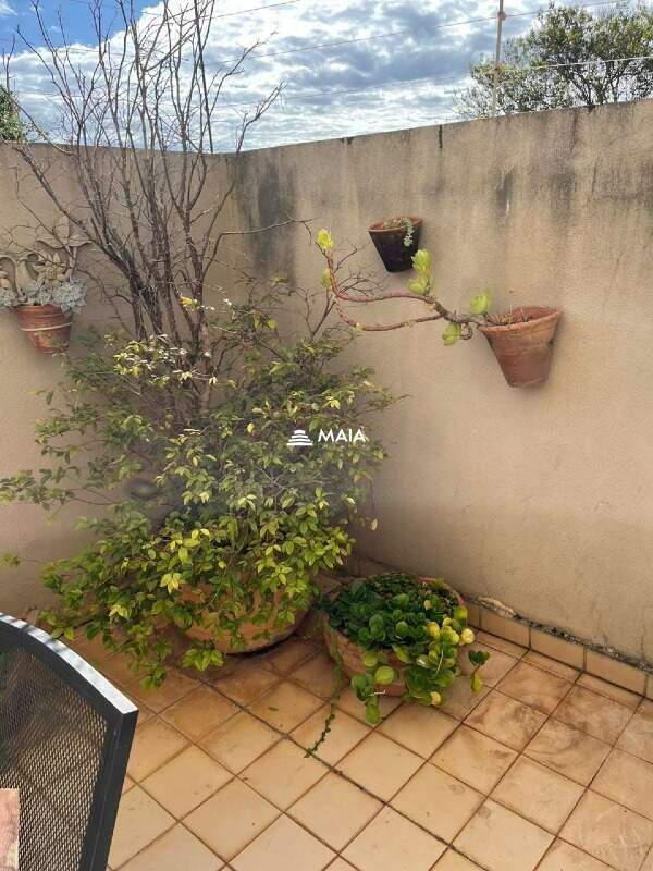 Apartamento para aluguel no Mercês: 