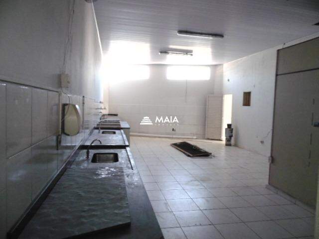 Comercial para aluguel no São Benedito: 