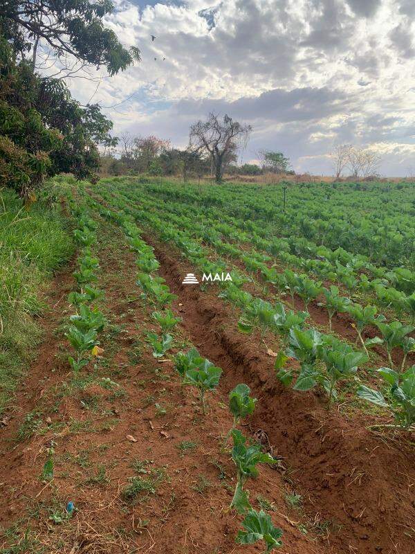 Rancho/ Chácara/ Rural à venda no Chacara Santa Luzia: 