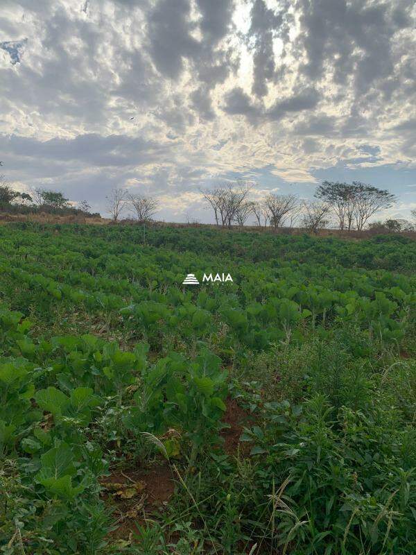 Rancho/ Chácara/ Rural à venda no Chacara Santa Luzia: 