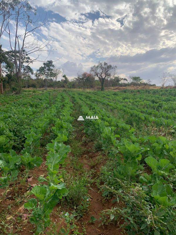 Rancho/ Chácara/ Rural à venda no Chacara Santa Luzia: 