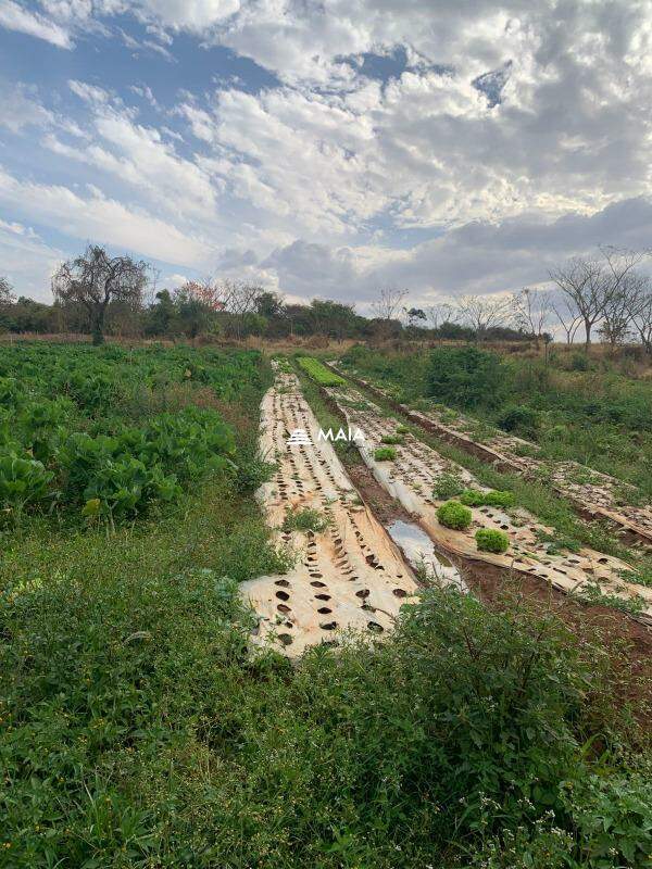 Rancho/ Chácara/ Rural à venda no Chacara Santa Luzia: 