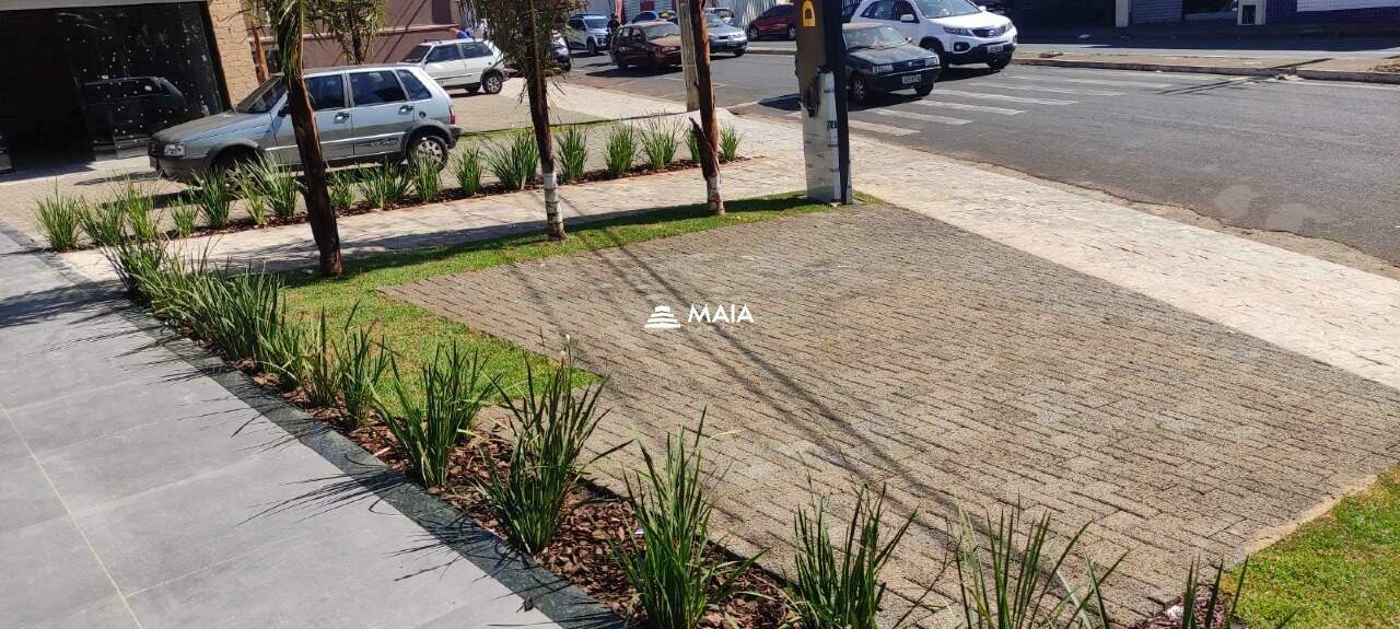 Comercial para aluguel no Nossa Senhora da Abadia: 