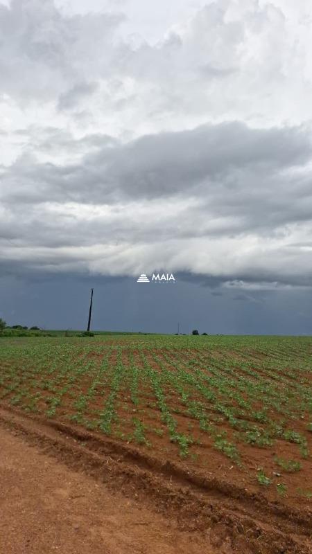 Rancho/ Chácara/ Rural à venda no Perdizes: 