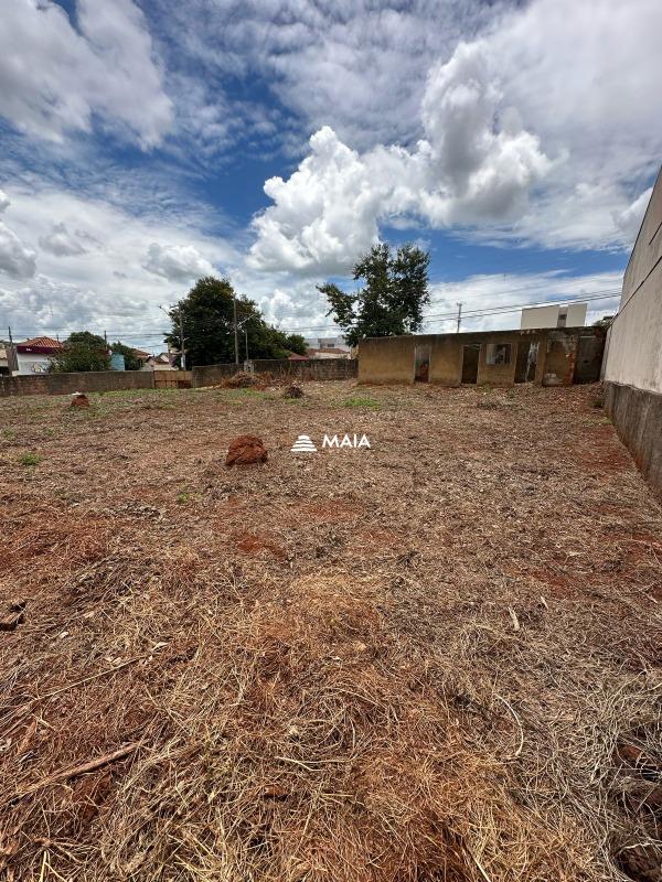 Terreno/Área à venda no Boa Vista: 