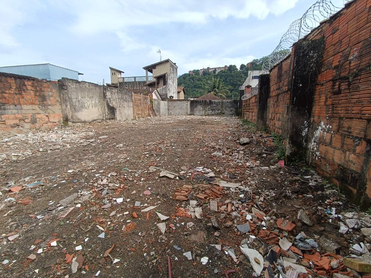 Lote ou Terreno para aluguel no Bom Retiro: 