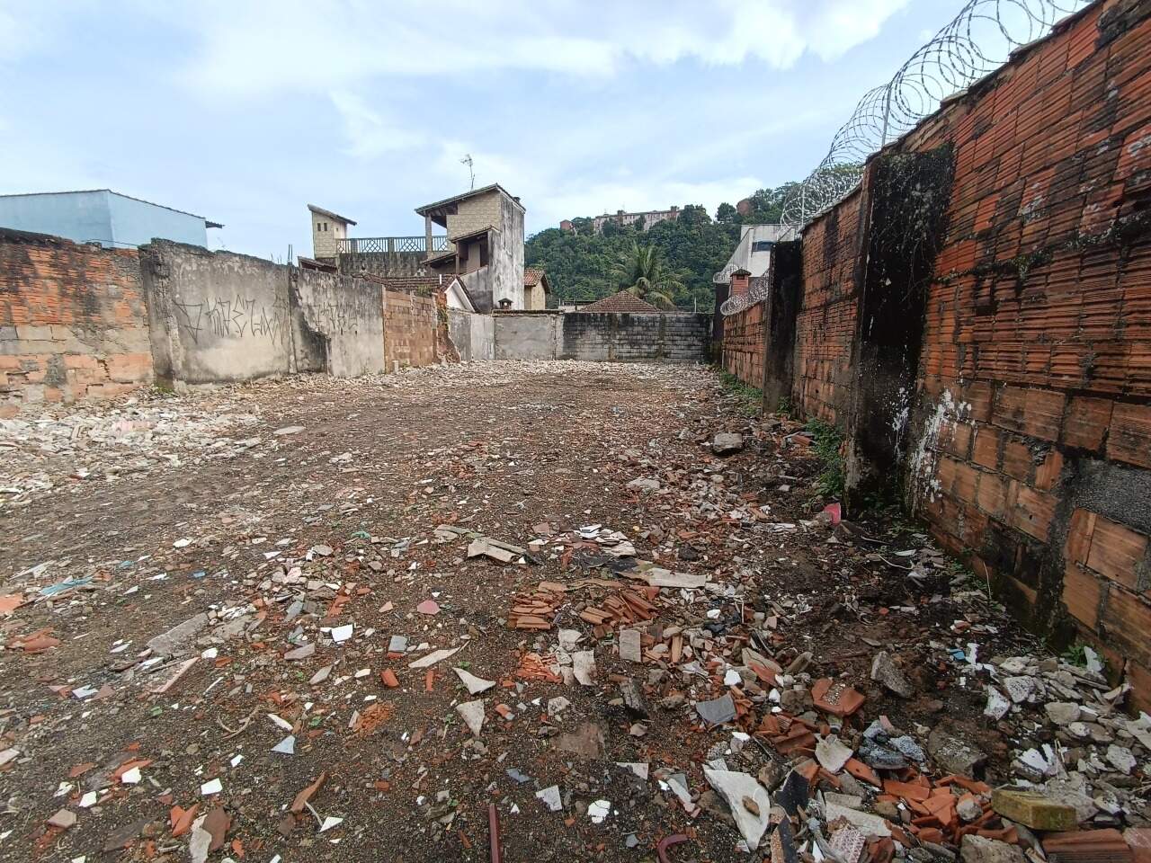 Lote ou Terreno para aluguel no Bom Retiro: 