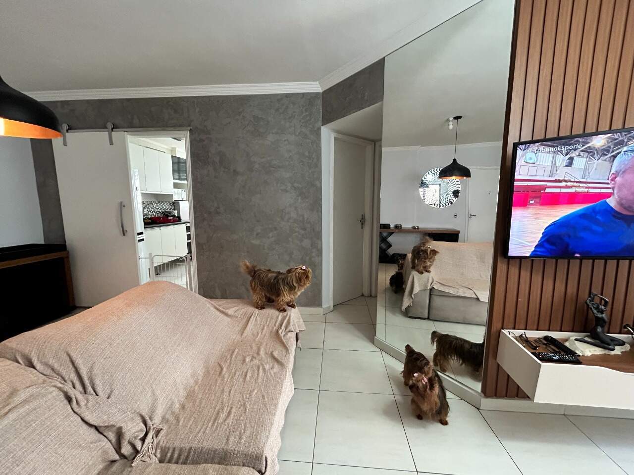 Apartamento à venda no Itararé: 