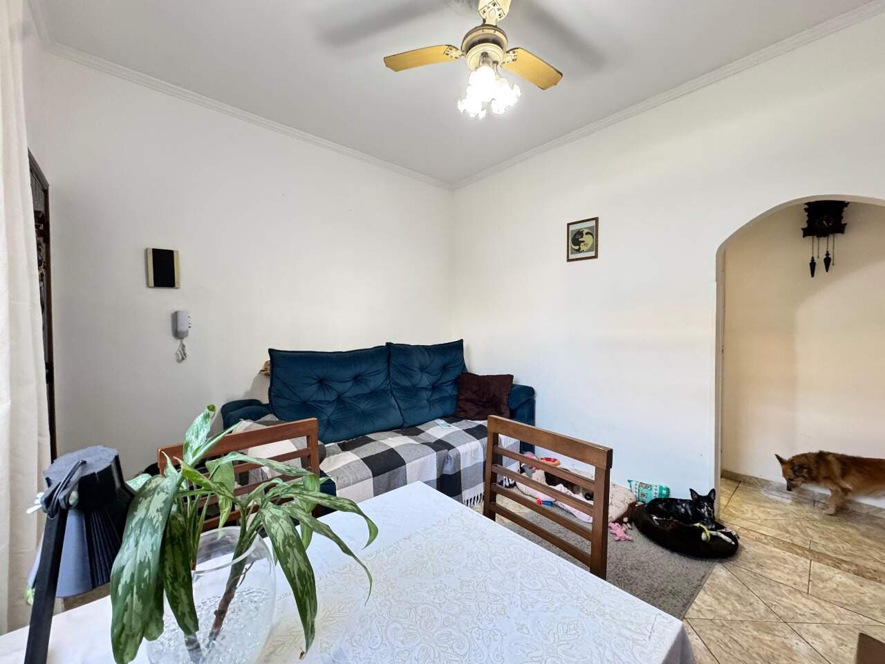 Apartamento à venda no Vila Mathias: 