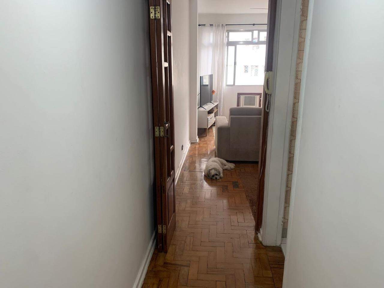 Apartamento à venda no Gonzaga: 
