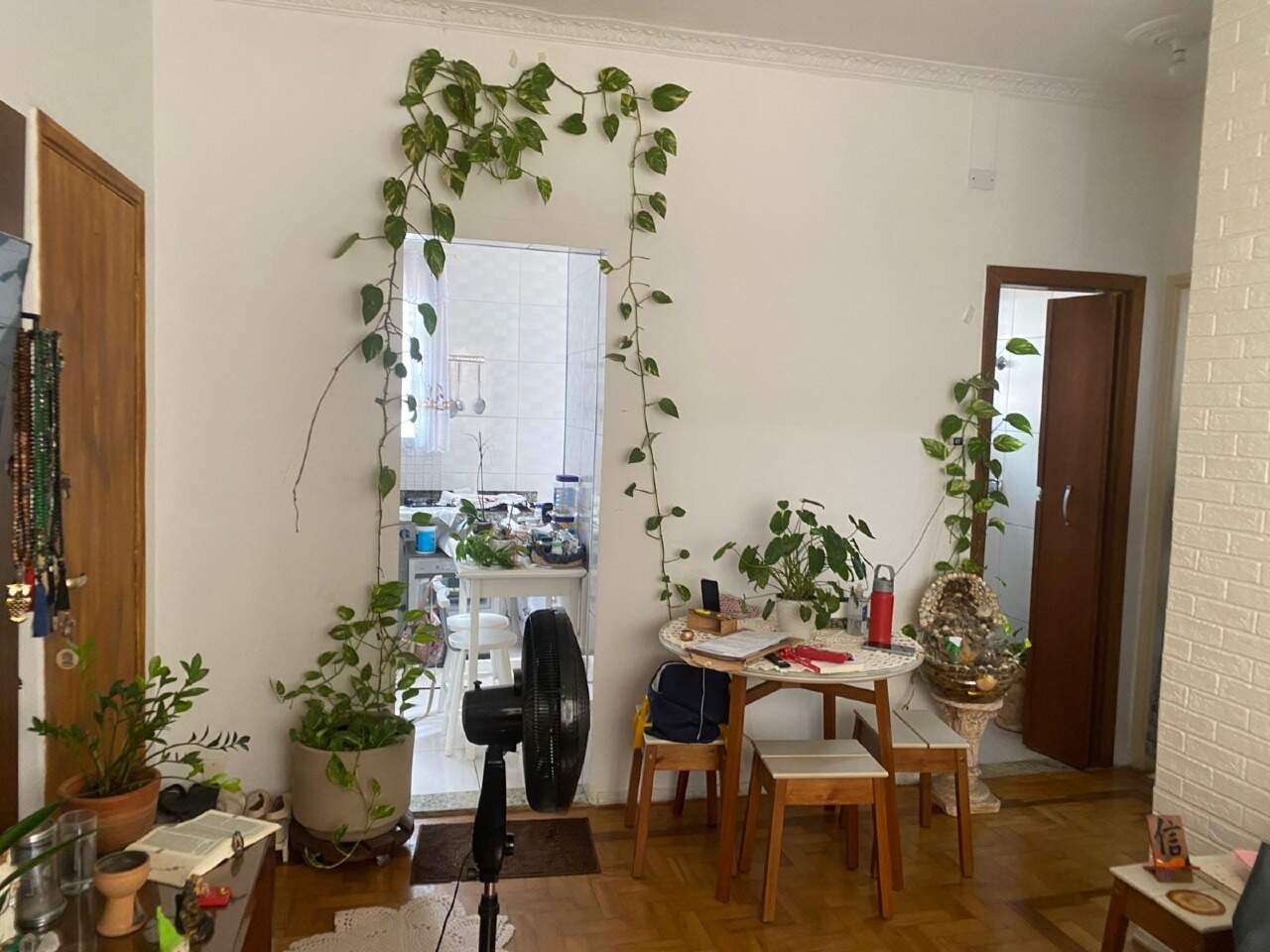 Apartamento à venda no Gonzaga: 