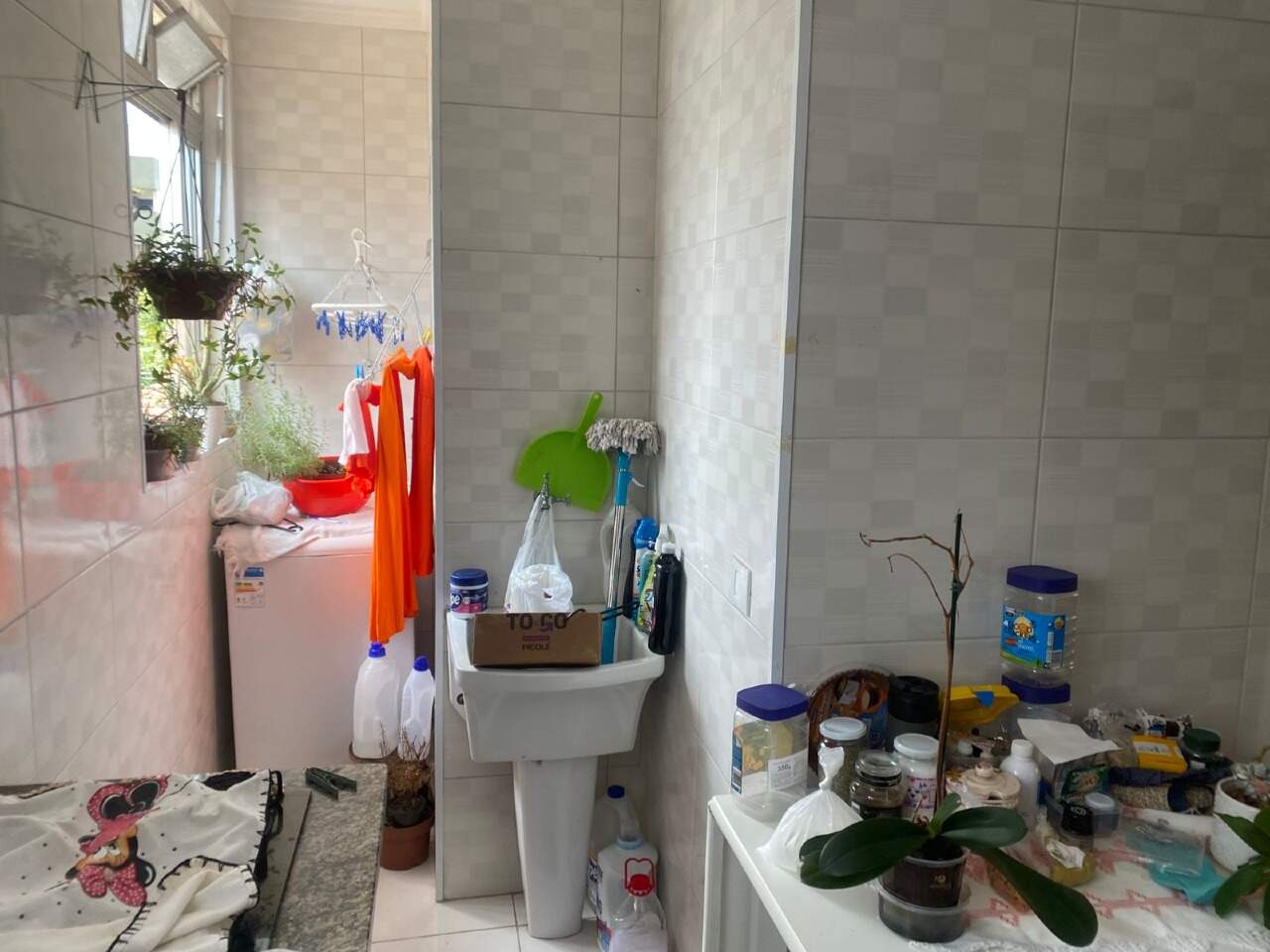 Apartamento à venda no Gonzaga: 