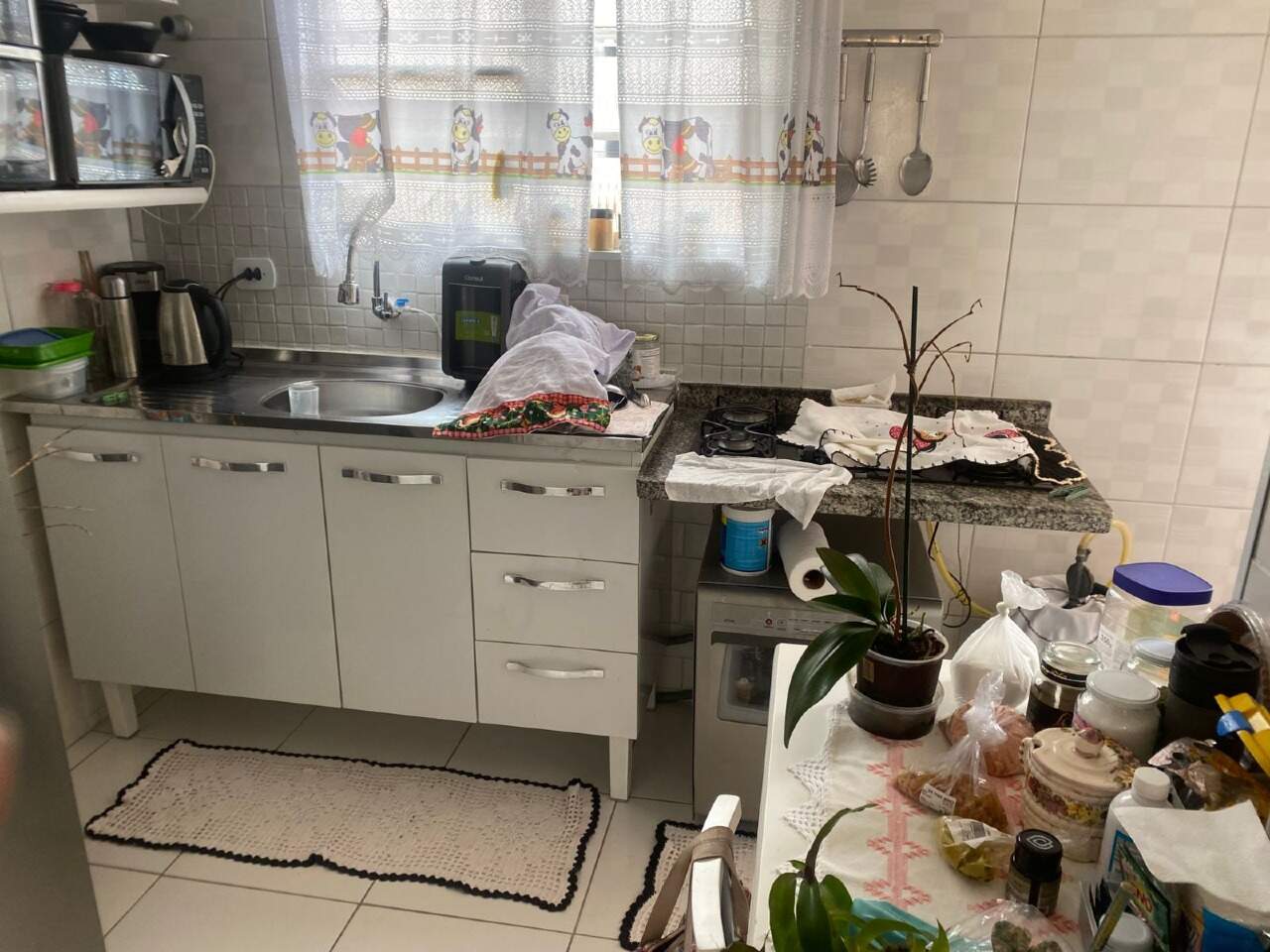 Apartamento à venda no Gonzaga: 