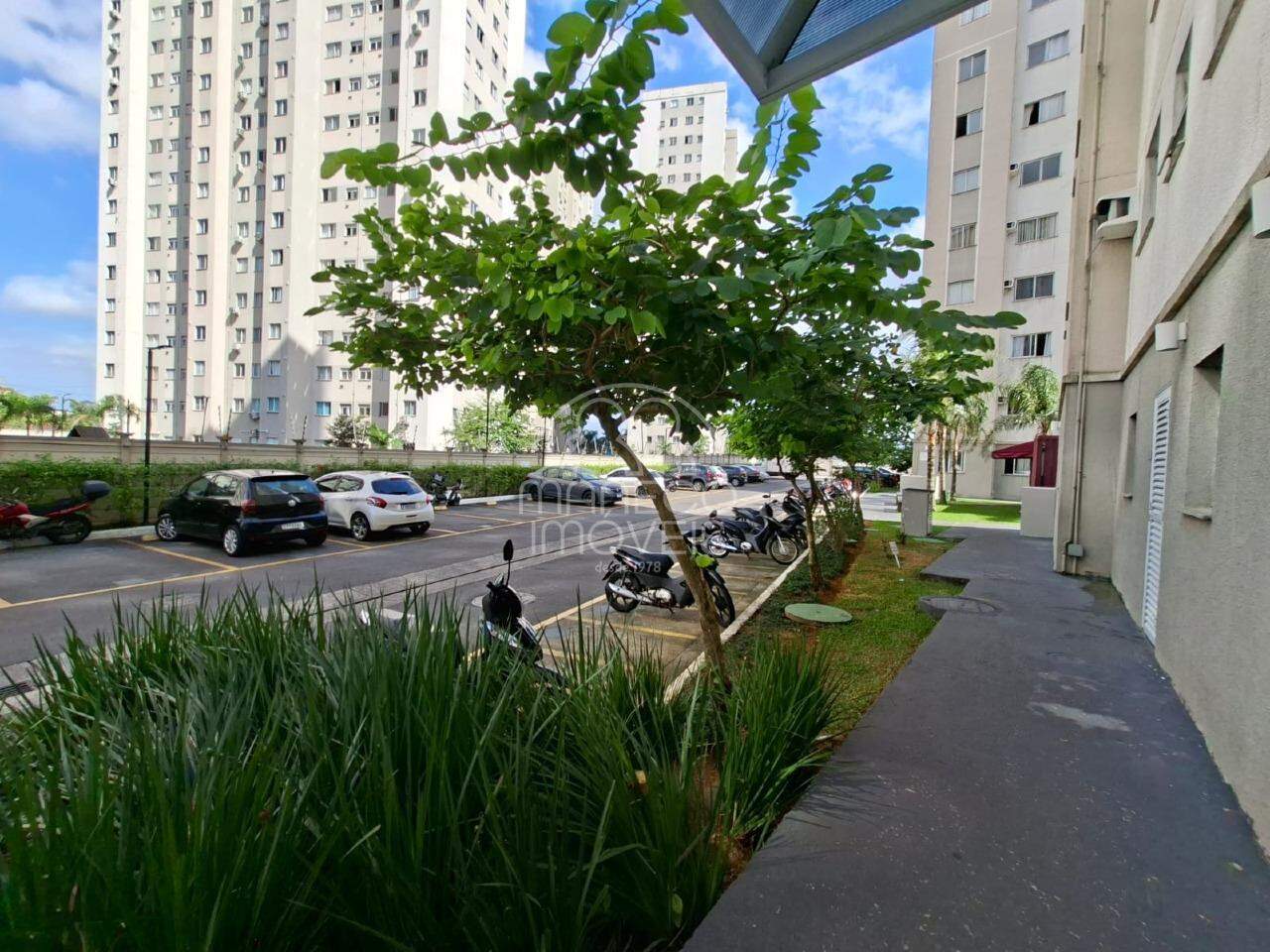 Apartamento para aluguel no Areia Branca: 
