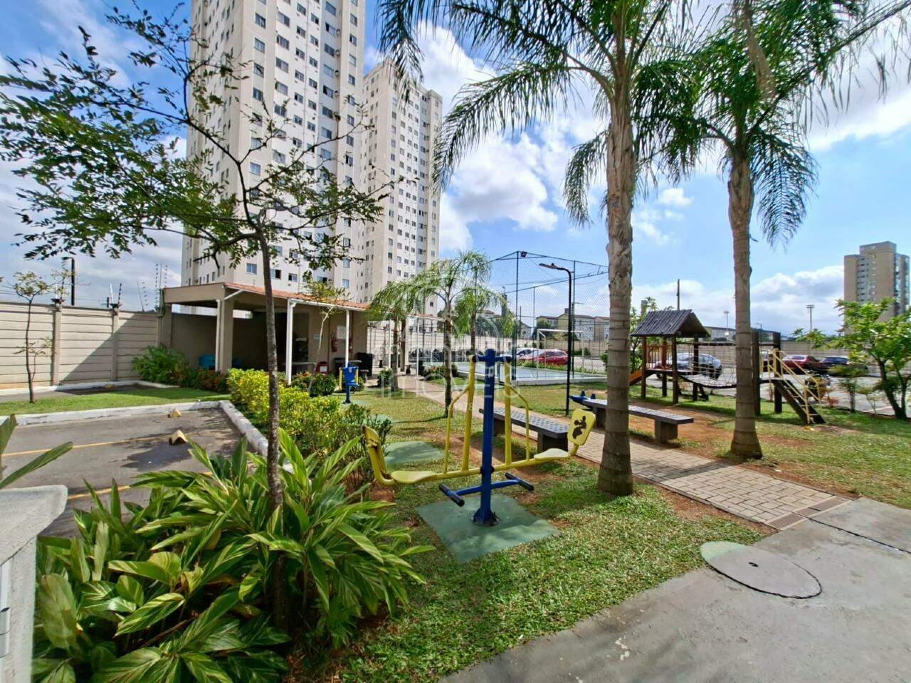 Apartamento para aluguel no Areia Branca: 