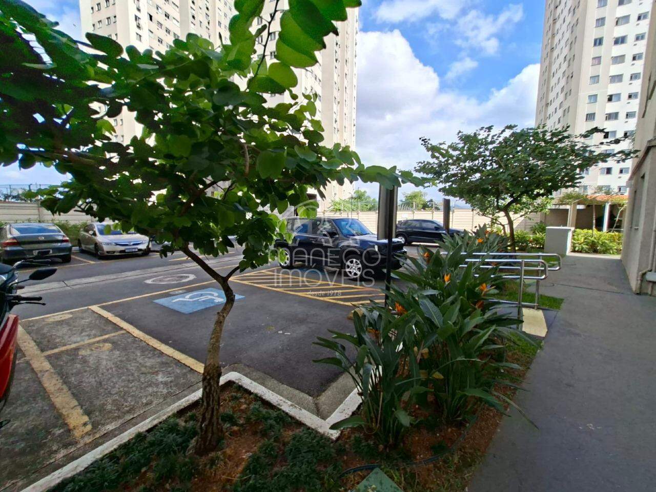 Apartamento para aluguel no Areia Branca: 