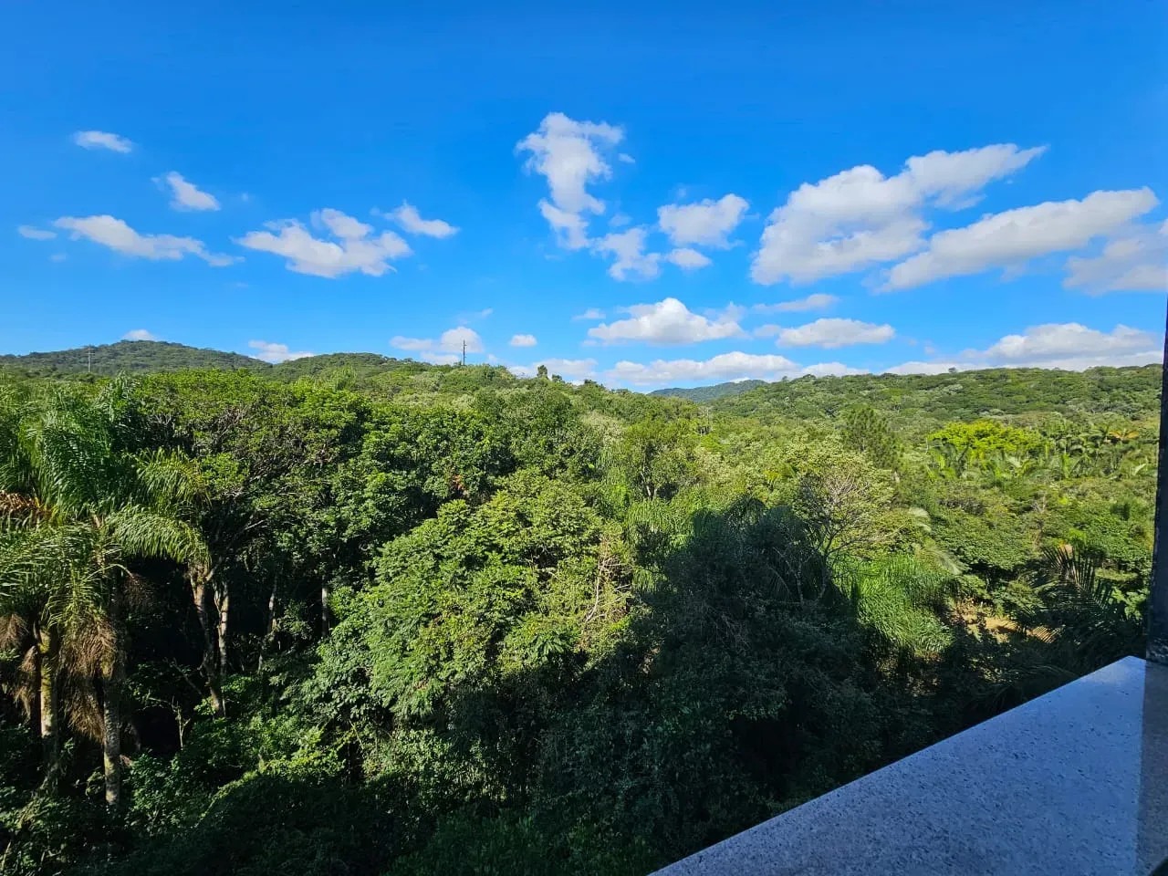 Apartamento - Imagem 2