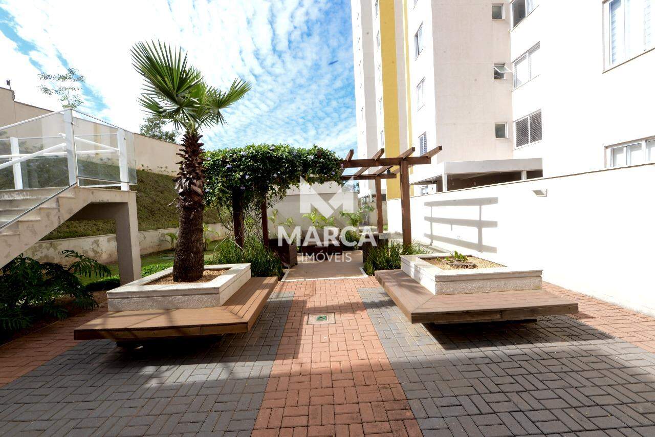 Apartamento para aluguel no Palmeiras: 