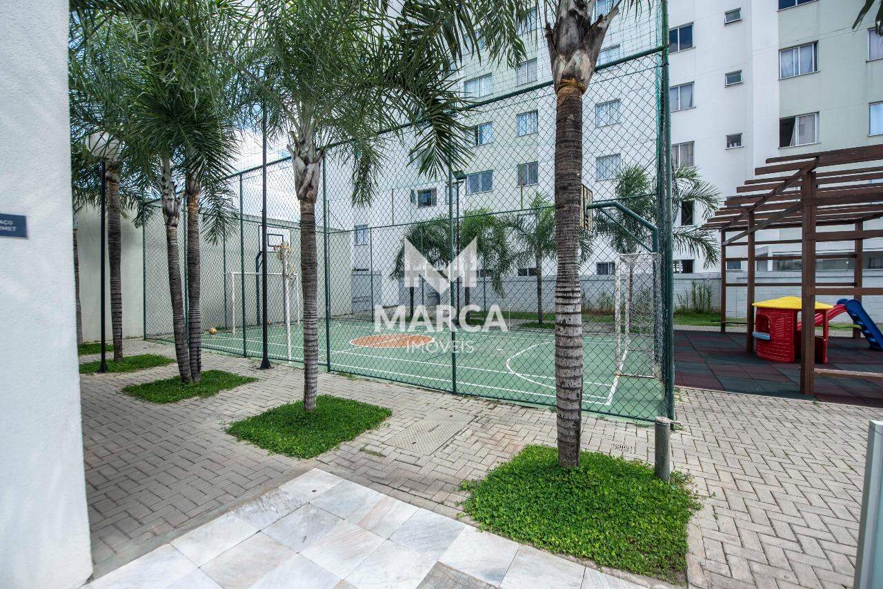 Apartamento para aluguel no Caiçaras: 