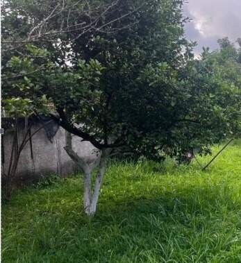 Chácara à venda no Sítios de Recreio Estâncias Vila Rica: 