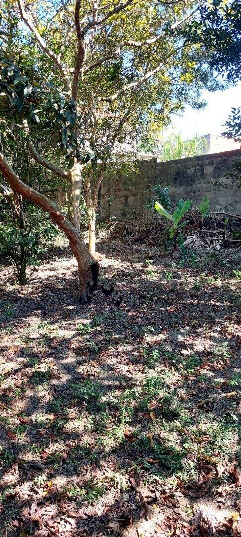 Chácara à venda no Jardim da Represa: 