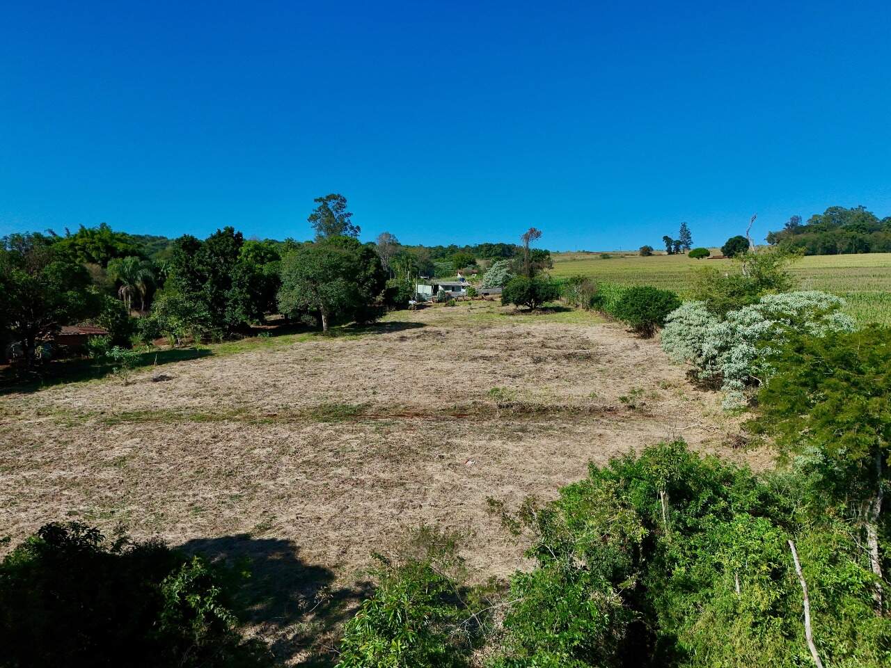 Chácara à venda no Cafezal: 