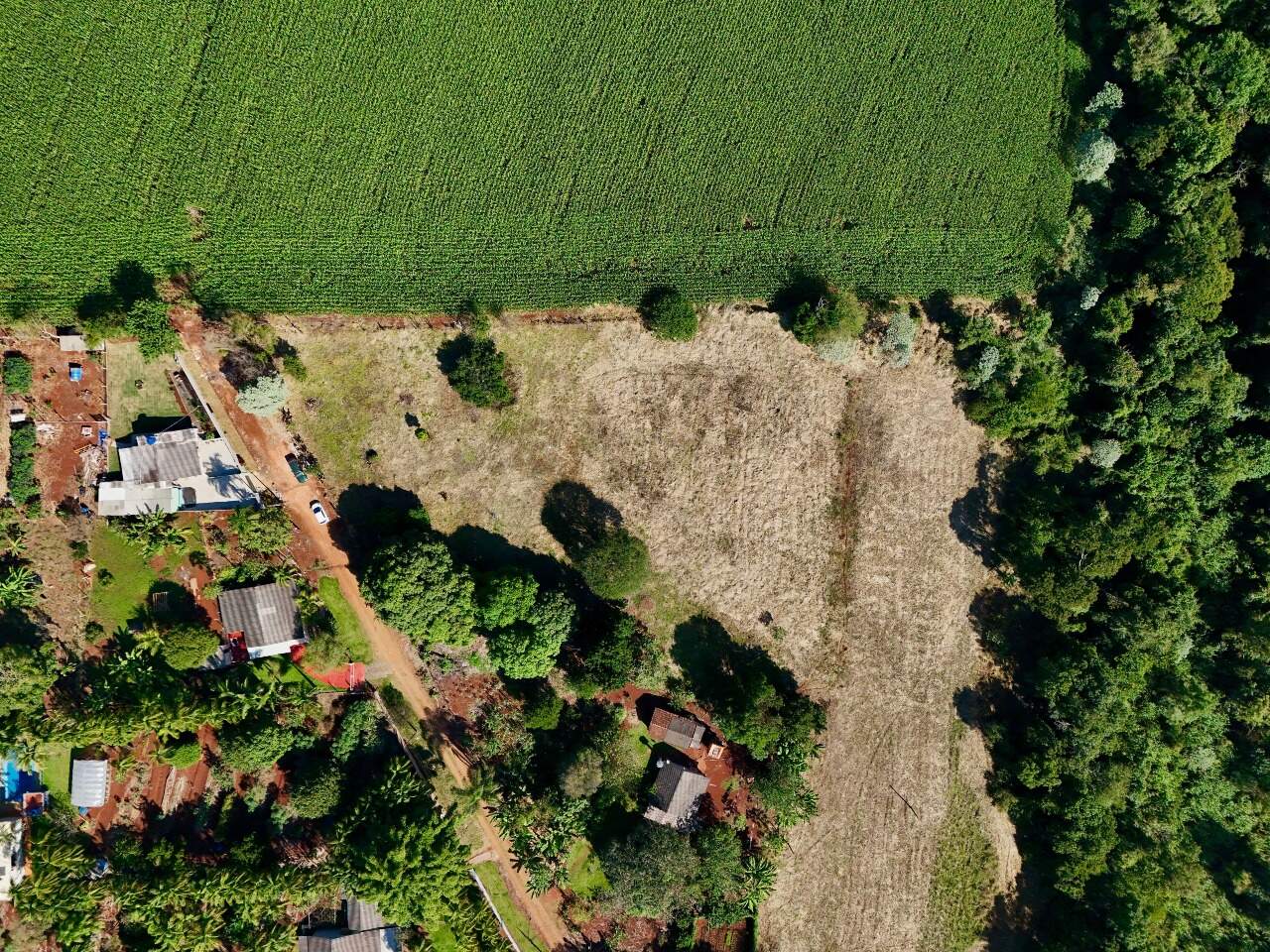 Chácara à venda no Cafezal: 