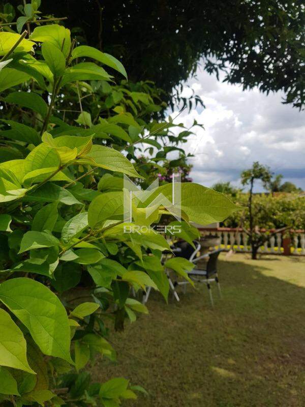 Chácara à venda no Pinheirinho: quintal