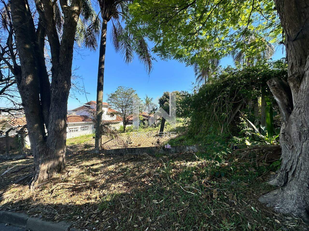 Terreno à venda no Bosque: 