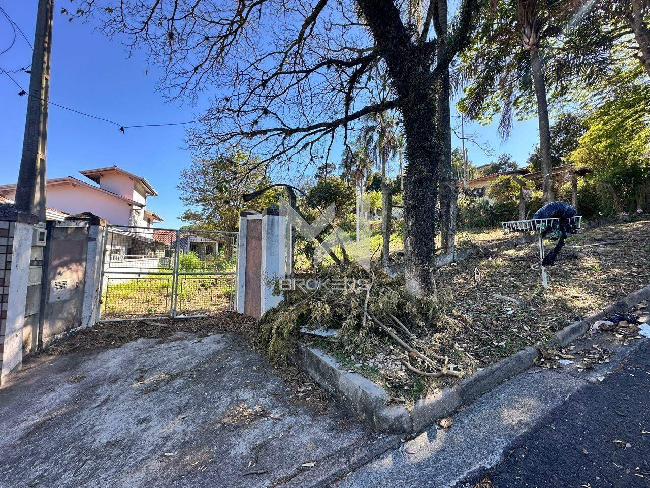 Terreno à venda no Bosque: 