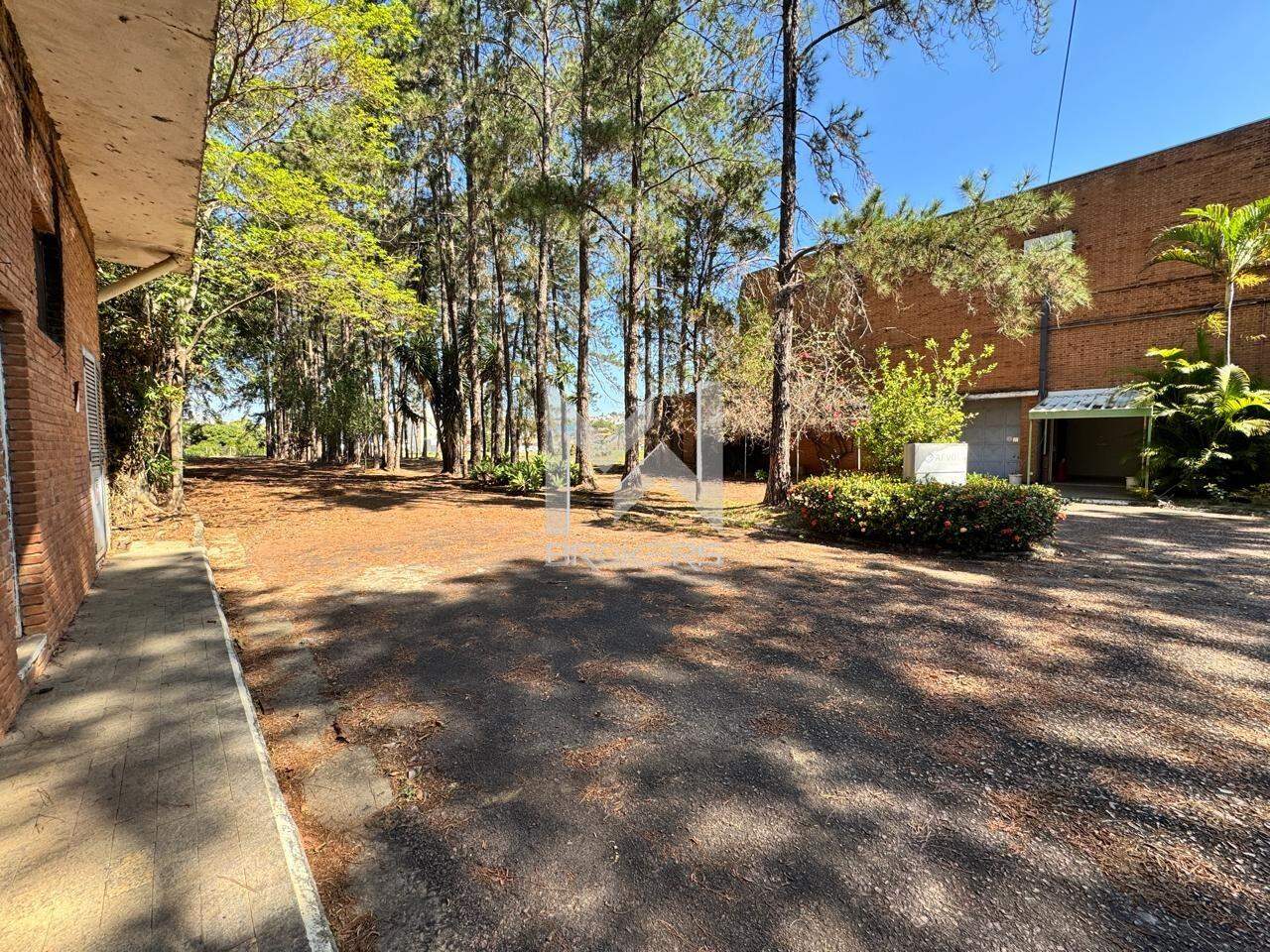 Galpão para aluguel no Nova Vinhedo: galpão 