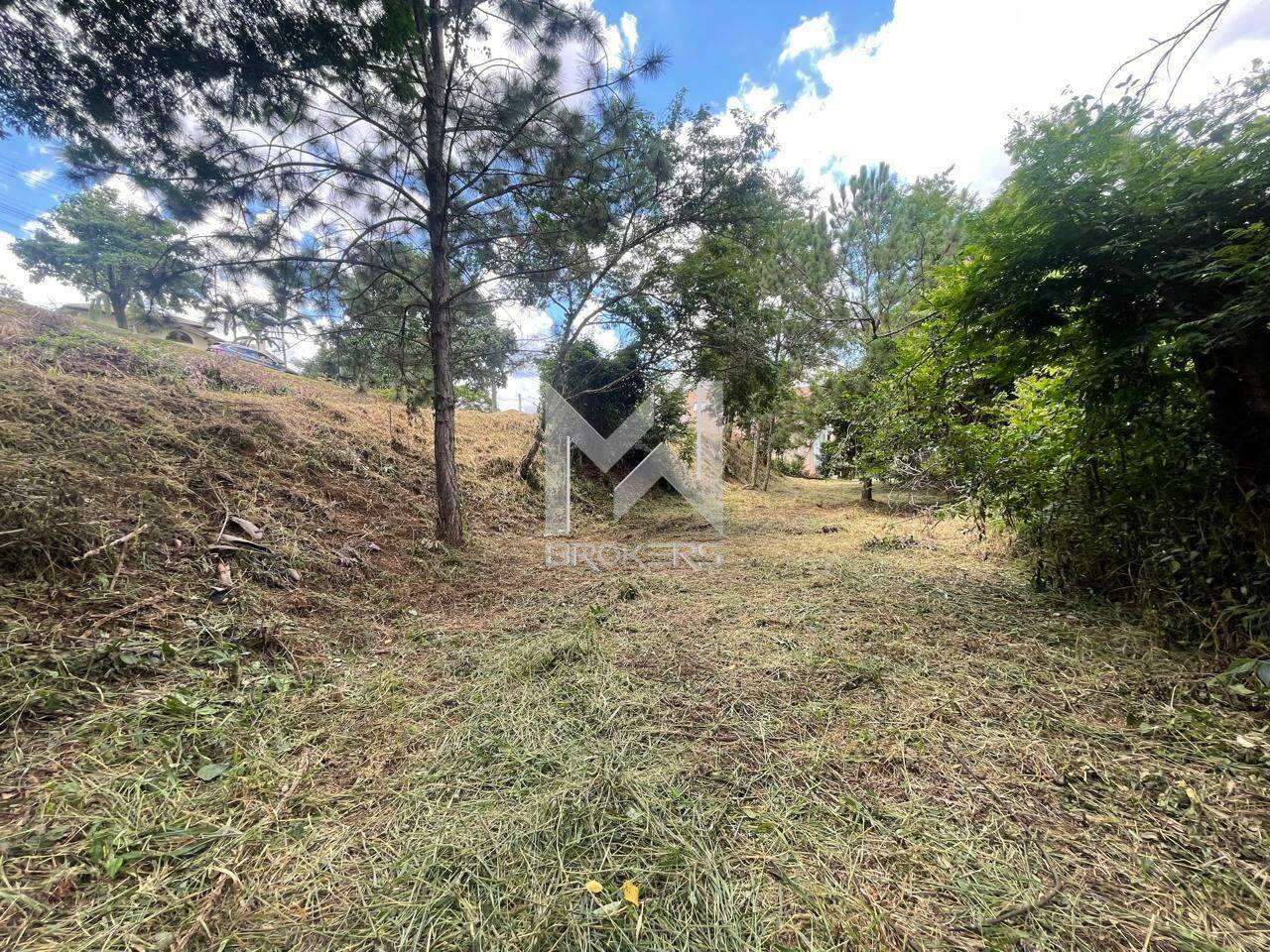 Terreno à venda no Vista Alegre: 