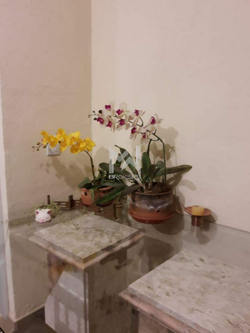 Apartamento à venda no Santa Claudina: copa