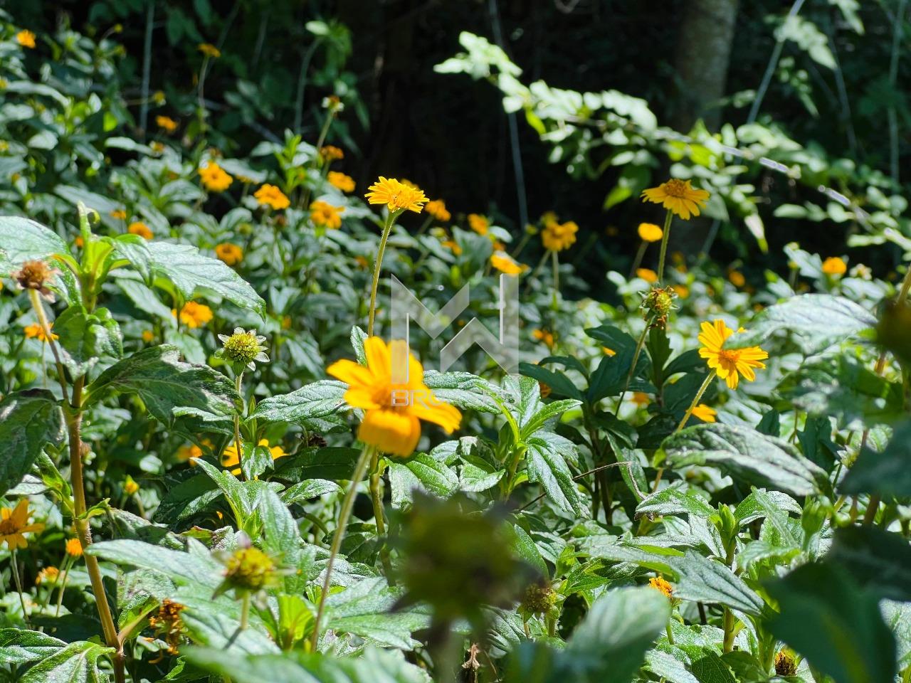 Lote/Terreno à venda no Condomínio Vale Da Santa Fé: 