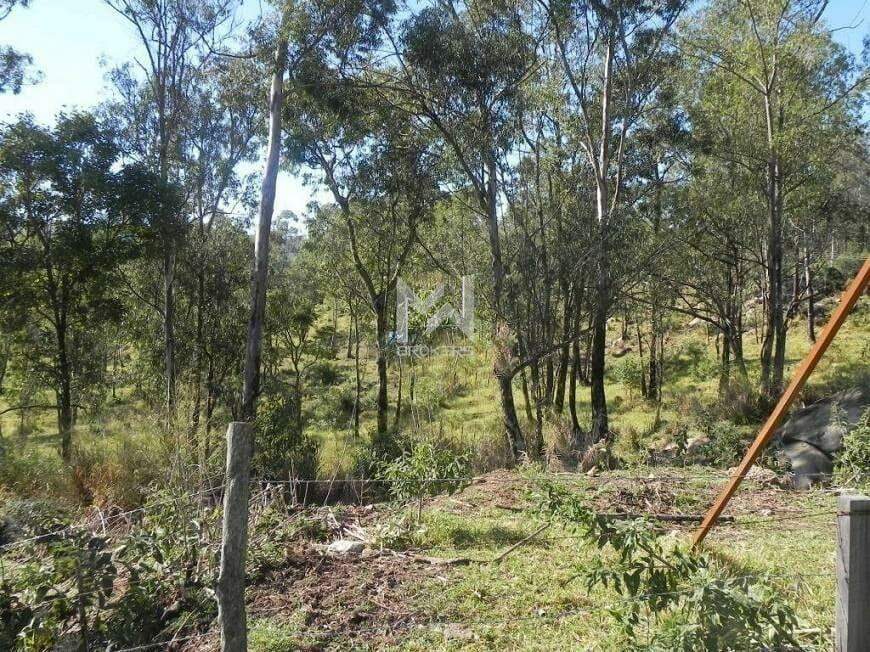 Área para aluguel no Monte Alegre: área
