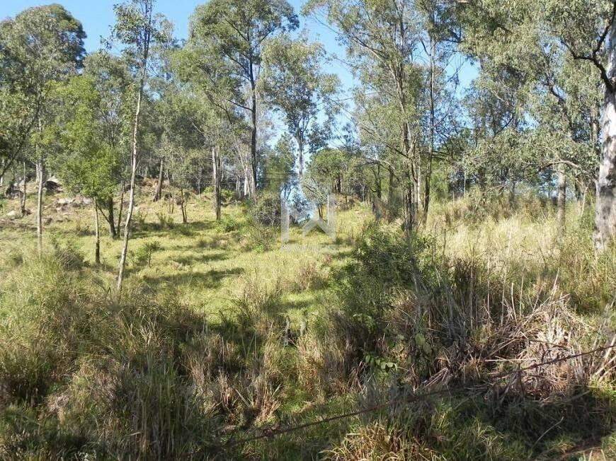 Área para aluguel no Monte Alegre: área