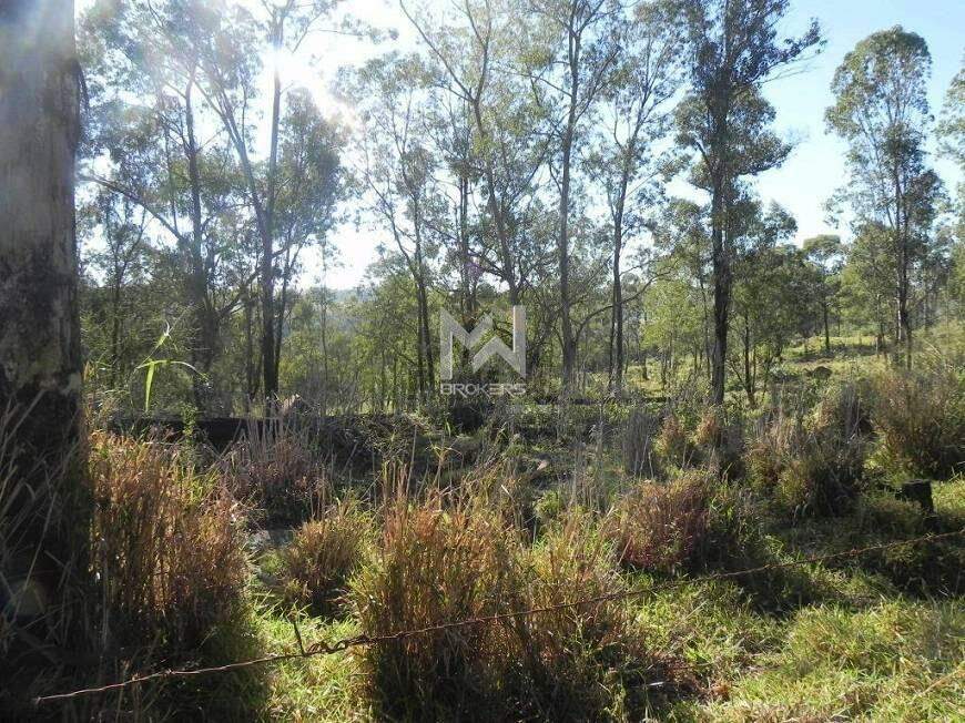 Área para aluguel no Monte Alegre: área