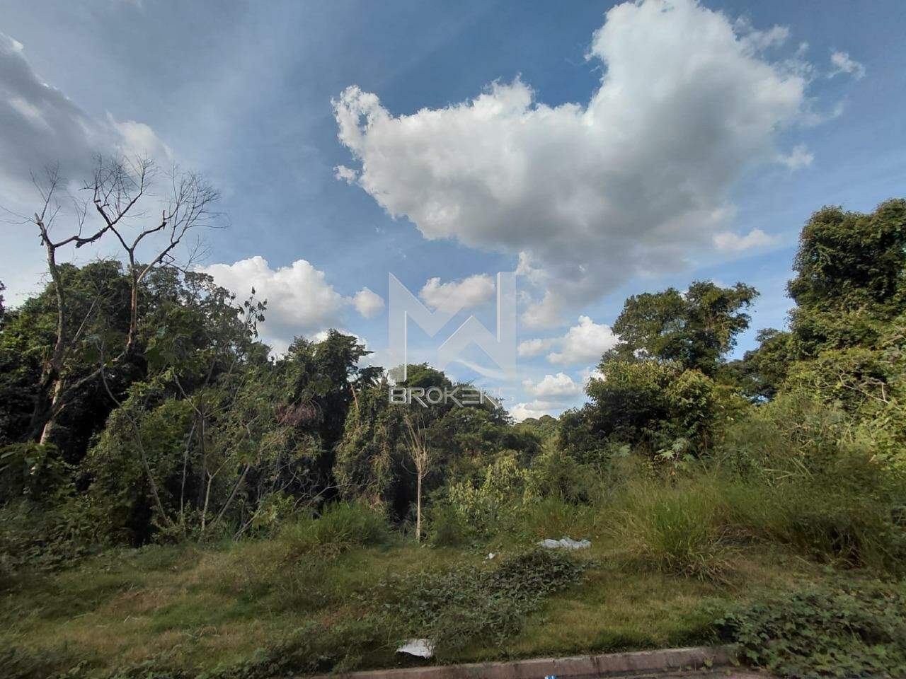 Lote/Terreno à venda no Vista Alegre: 