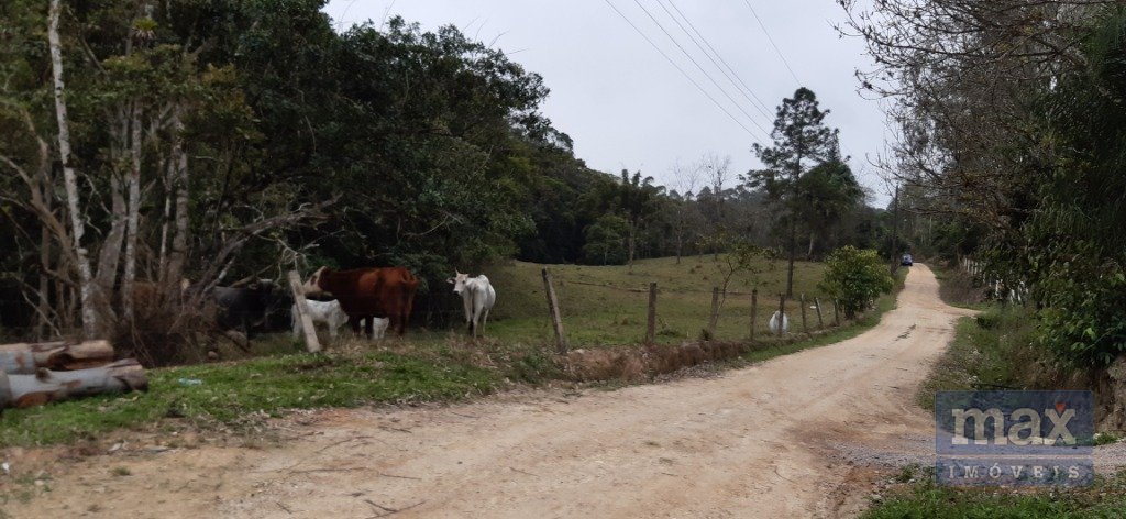 Terreno à venda no Paciência: Terreno