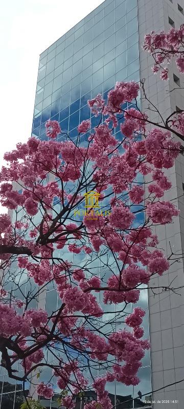 Loja-Salão, 106 m² - Foto 2