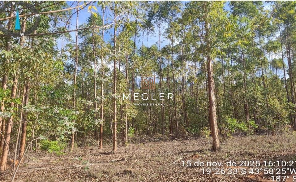 Fazenda à venda no Fazenda Jaguarinha : 